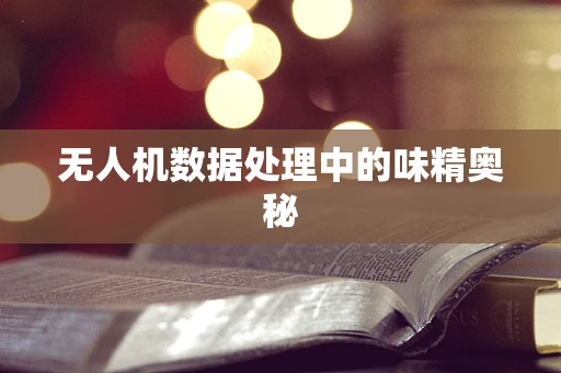 无人机数据处理中的味精奥秘