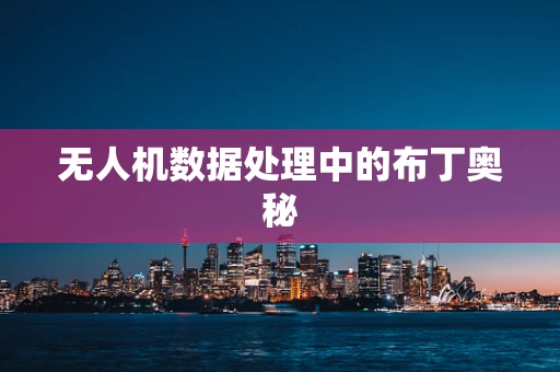 无人机数据处理中的布丁奥秘