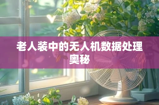 老人装中的无人机数据处理奥秘