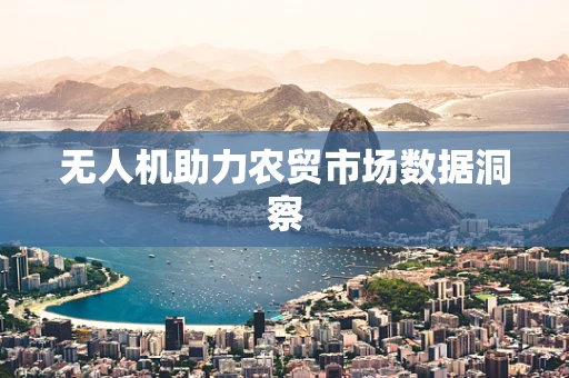 无人机助力农贸市场数据洞察