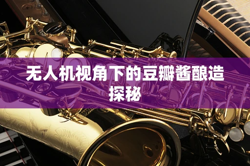 无人机视角下的豆瓣酱酿造探秘