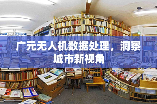 广元无人机数据处理，洞察城市新视角