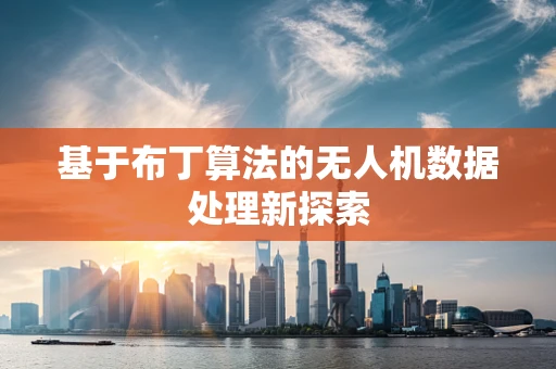 基于布丁算法的无人机数据处理新探索