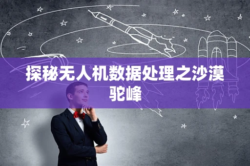 探秘无人机数据处理之沙漠驼峰