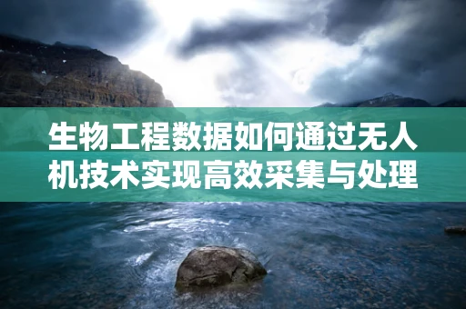 生物工程数据如何通过无人机技术实现高效采集与处理？