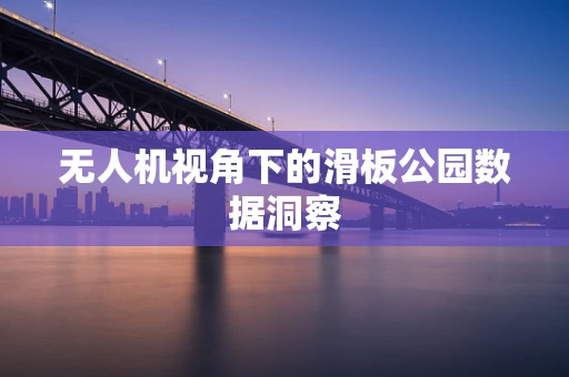 无人机视角下的滑板公园数据洞察