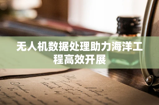 无人机数据处理助力海洋工程高效开展