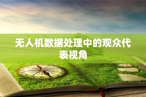 无人机数据处理中的观众代表视角