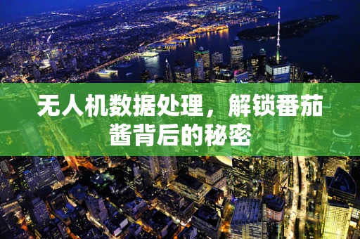 无人机数据处理，解锁番茄酱背后的秘密