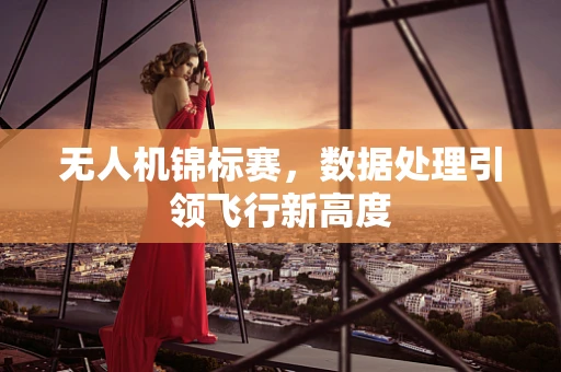 无人机锦标赛，数据处理引领飞行新高度