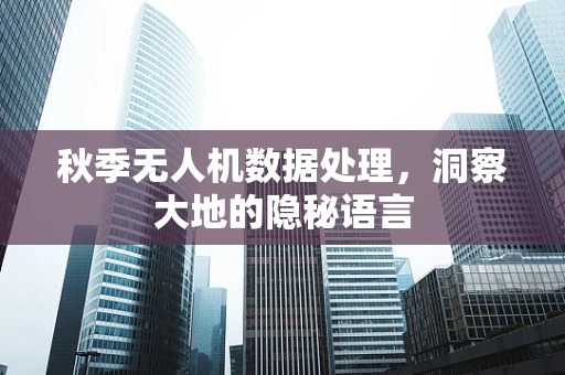 秋季无人机数据处理，洞察大地的隐秘语言