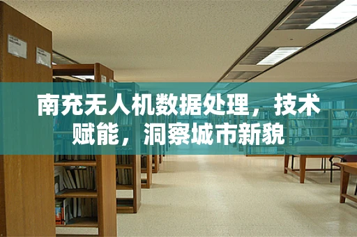南充无人机数据处理，技术赋能，洞察城市新貌