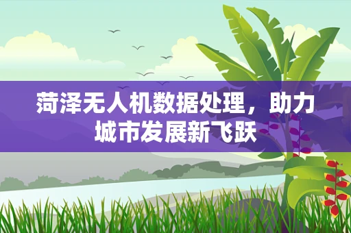 菏泽无人机数据处理，助力城市发展新飞跃
