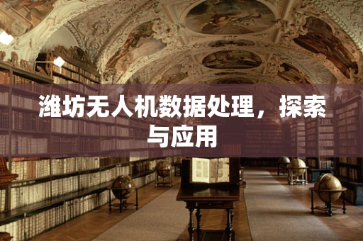 潍坊无人机数据处理，探索与应用