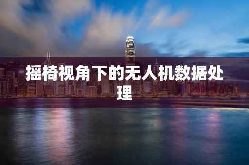 摇椅视角下的无人机数据处理