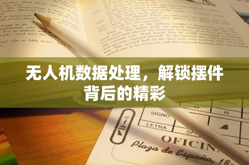无人机数据处理，解锁摆件背后的精彩