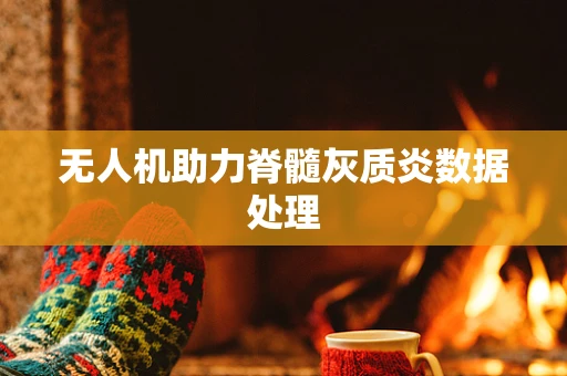 无人机助力脊髓灰质炎数据处理