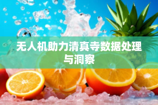 无人机助力清真寺数据处理与洞察