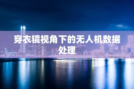 穿衣镜视角下的无人机数据处理
