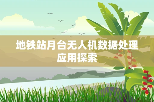 地铁站月台无人机数据处理应用探索