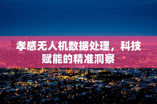 孝感无人机数据处理，科技赋能的精准洞察
