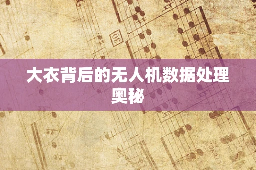 大衣背后的无人机数据处理奥秘