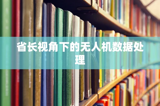 省长视角下的无人机数据处理