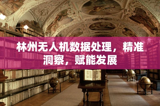 林州无人机数据处理，精准洞察，赋能发展