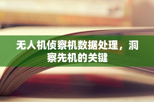 无人机侦察机数据处理，洞察先机的关键