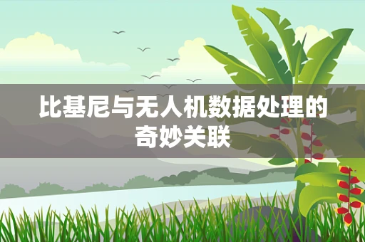 比基尼与无人机数据处理的奇妙关联