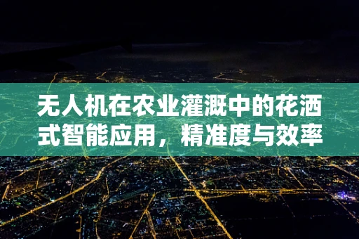 无人机在农业灌溉中的花洒式智能应用，精准度与效率的平衡挑战