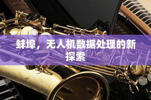 蚌埠，无人机数据处理的新探索