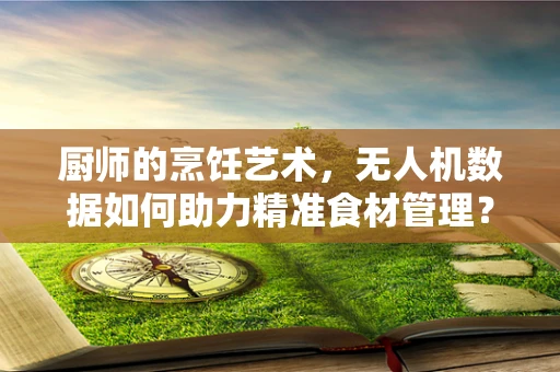 厨师的烹饪艺术，无人机数据如何助力精准食材管理？