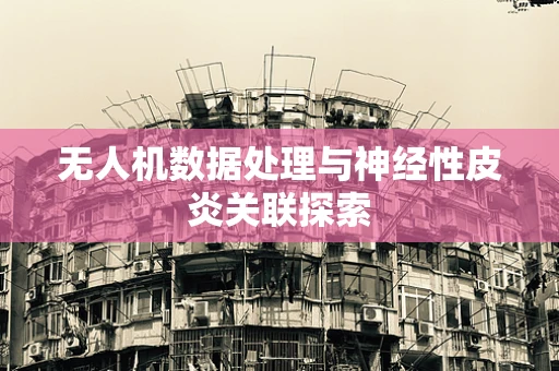 无人机数据处理与神经性皮炎关联探索