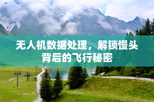 无人机数据处理，解锁馒头背后的飞行秘密