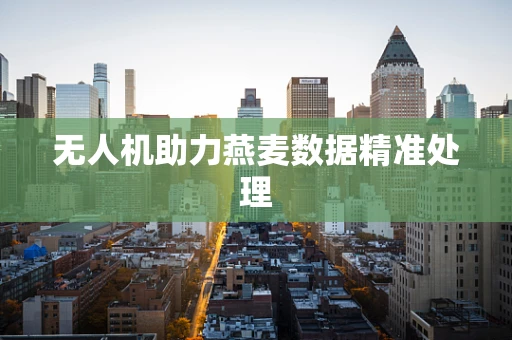 无人机助力燕麦数据精准处理