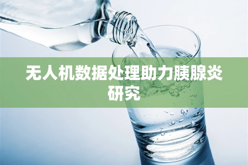 无人机数据处理助力胰腺炎研究