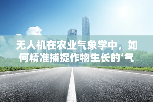无人机在农业气象学中，如何精准捕捉作物生长的‘气象密码’？