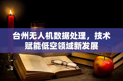 台州无人机数据处理，技术赋能低空领域新发展