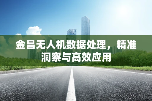 金昌无人机数据处理，精准洞察与高效应用