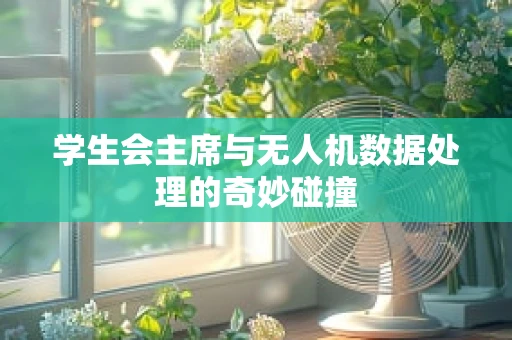 学生会主席与无人机数据处理的奇妙碰撞