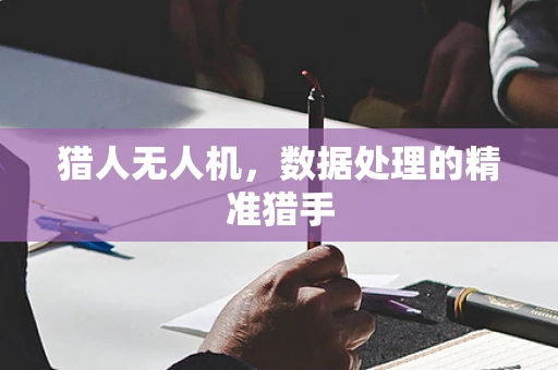 猎人无人机，数据处理的精准猎手