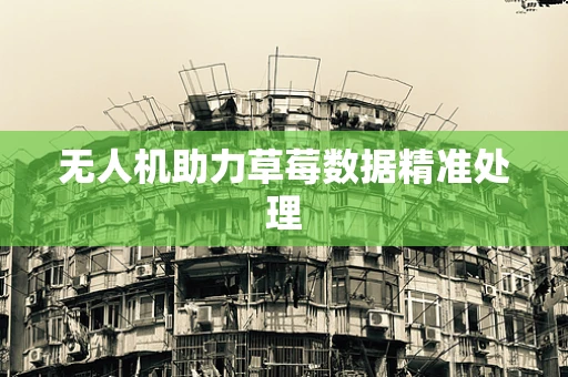 无人机助力草莓数据精准处理