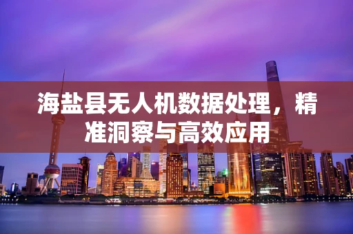 海盐县无人机数据处理，精准洞察与高效应用