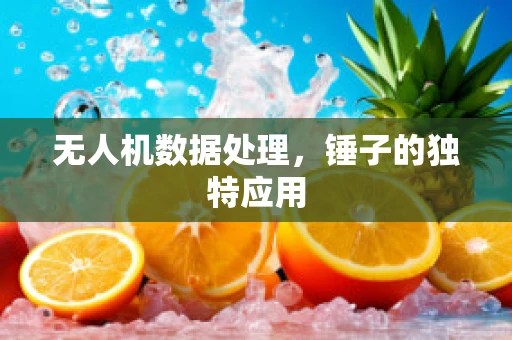 无人机数据处理，锤子的独特应用