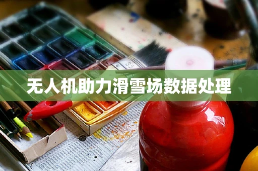 无人机助力滑雪场数据处理
