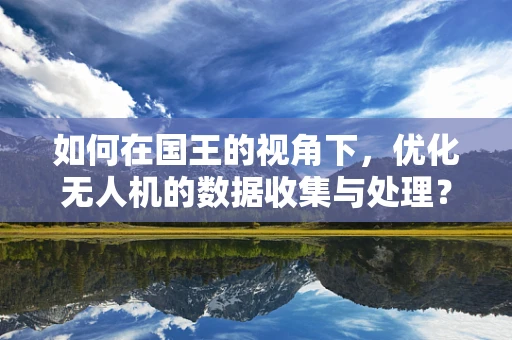 如何在国王的视角下，优化无人机的数据收集与处理？