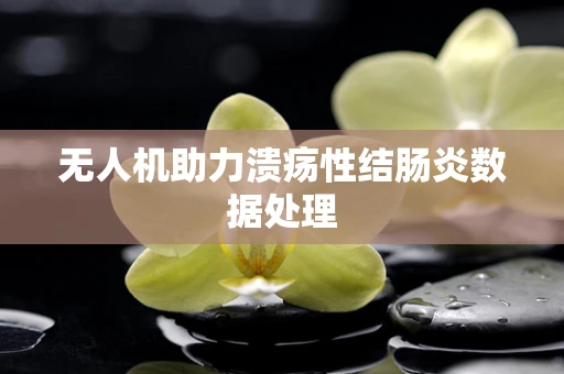 无人机助力溃疡性结肠炎数据处理