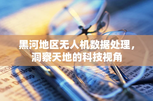 黑河地区无人机数据处理，洞察天地的科技视角
