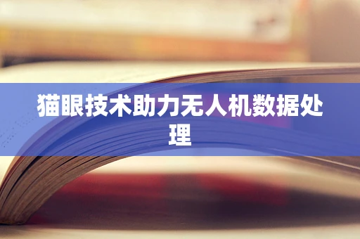 猫眼技术助力无人机数据处理